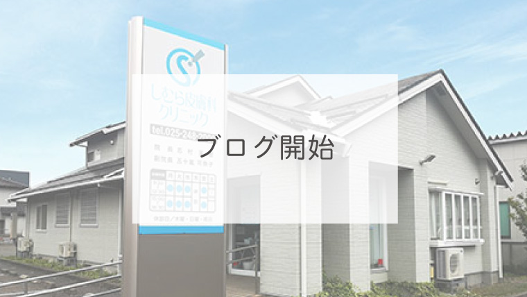 ブログ開始