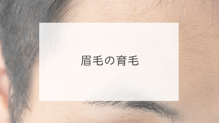 眉毛の育毛