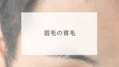 眉毛の育毛