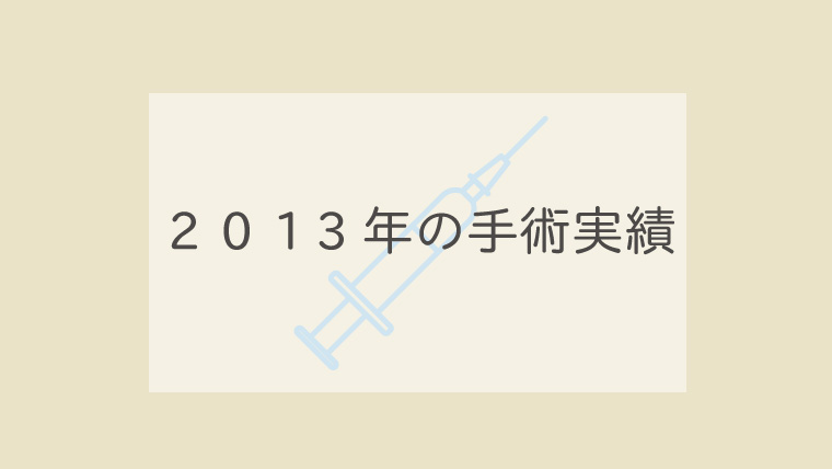 ２０１３年の手術実績