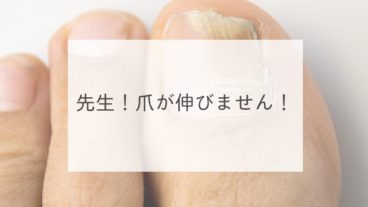 先生！爪が伸びません！