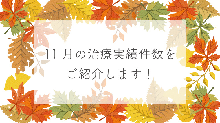 １１月の治療実績件数をご紹介します！