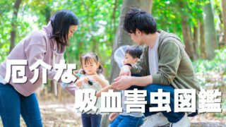 厄介な吸血害虫図鑑
