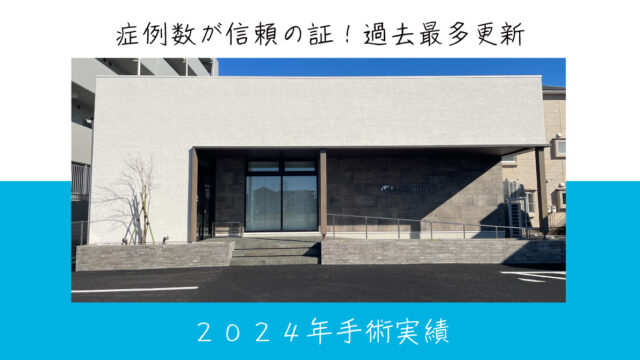 ２０２４年手術実績
