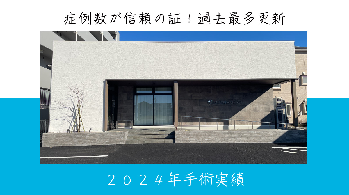 ２０２４年手術実績