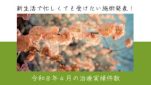 令和８年４月の治療実績件数